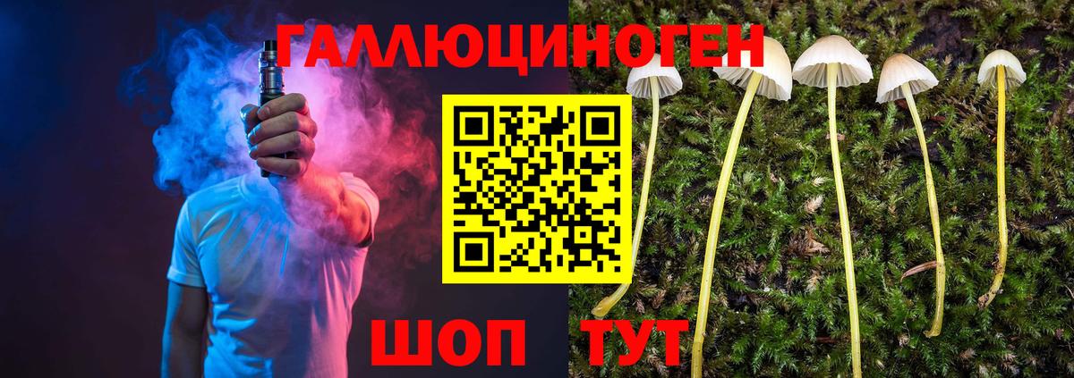 Псилоцибиновые грибы Psilocybine cubensis  Вход с VPN  Мурино  купить наркотики сайты  Галлюциногенные грибы Psilocybine cubensis 